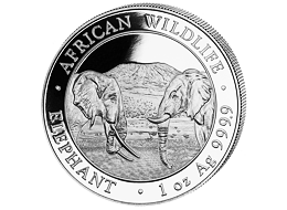 Stříbrná mince 100 Schillings Elephant (Slon africký) 1 Oz 2020 (African Wildlife Series)