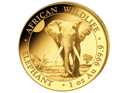 Zlatá mince 1000 Schillings Elephant (Slon africký) 1 Oz 2025 (African Wildlife Series)