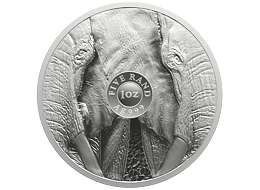 Stříbrná mince Big Five III - Elephant (Slon) 1 Oz 2024 - (1.)