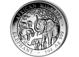 Stříbrná mince 100 Schillings Elephant (Slon africký) 1 Oz 2008 (African Wildlife Series)