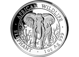 Stříbrná mince 1000 Schillings Elephant (Slon africký) 1 Oz 2004 (African Wildlife Series)