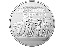 Stříbrná mince Sumatran Elephant (Slon sumaterský) 1 Oz 2022 (Australia ZOO) - (3.)