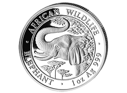 Stříbrná mince 1000 Schillings Elephant (Slon africký) 1 Oz 2005 (African Wildlife Series)