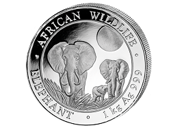 Stříbrná mince 2000 Schillings Elephant (Slon africký) 1 kg 2014 (African Wildlife Series)