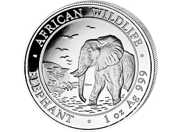 Stříbrná mince 100 Schillings Elephant (Slon africký) 1 Oz 2010 (African Wildlife Series)