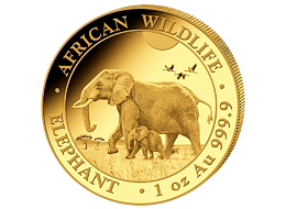 Zlatá mince 1000 Schillings Elephant (Slon africký) 1 Oz 2022 (African Wildlife Series)