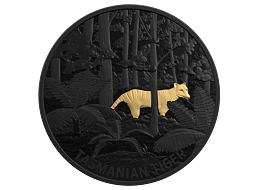 Stříbrná mince Tasmanian Tiger 1 Oz 2019 BLACK NICKEL PROOF Gilded - (1.)