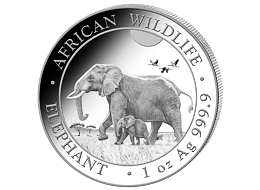 Stříbrná mince 100 Schillings Elephant (Slon africký) 1 Oz 2022 (African Wildlife Series)