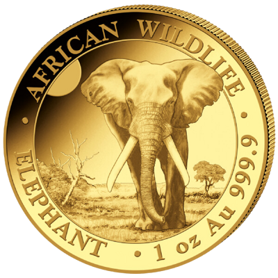 Zlatá mince 1000 Schillings Elephant (Slon africký) 1 Oz 2025 (African Wildlife Series)