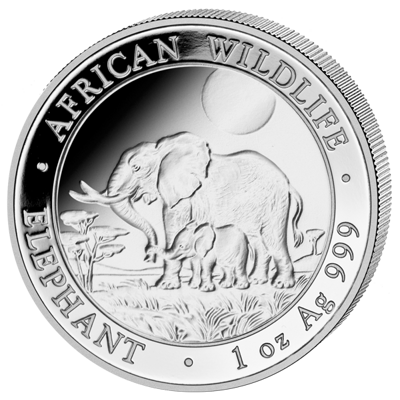 Stříbrná mince 100 Schillings Elephant (Slon africký) 1 Oz 2011 (African Wildlife Series)