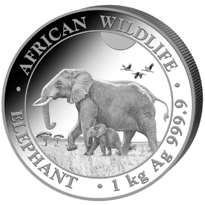 Stříbrná mince 2000 Schillings Elephant (Slon africký) 1 kg 2022 (African Wildlife Series)