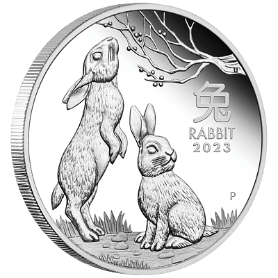 Lunární série III. - stříbrná mince Year of the Rabbit (Rok králíka) 2 Oz 2023 PROOF